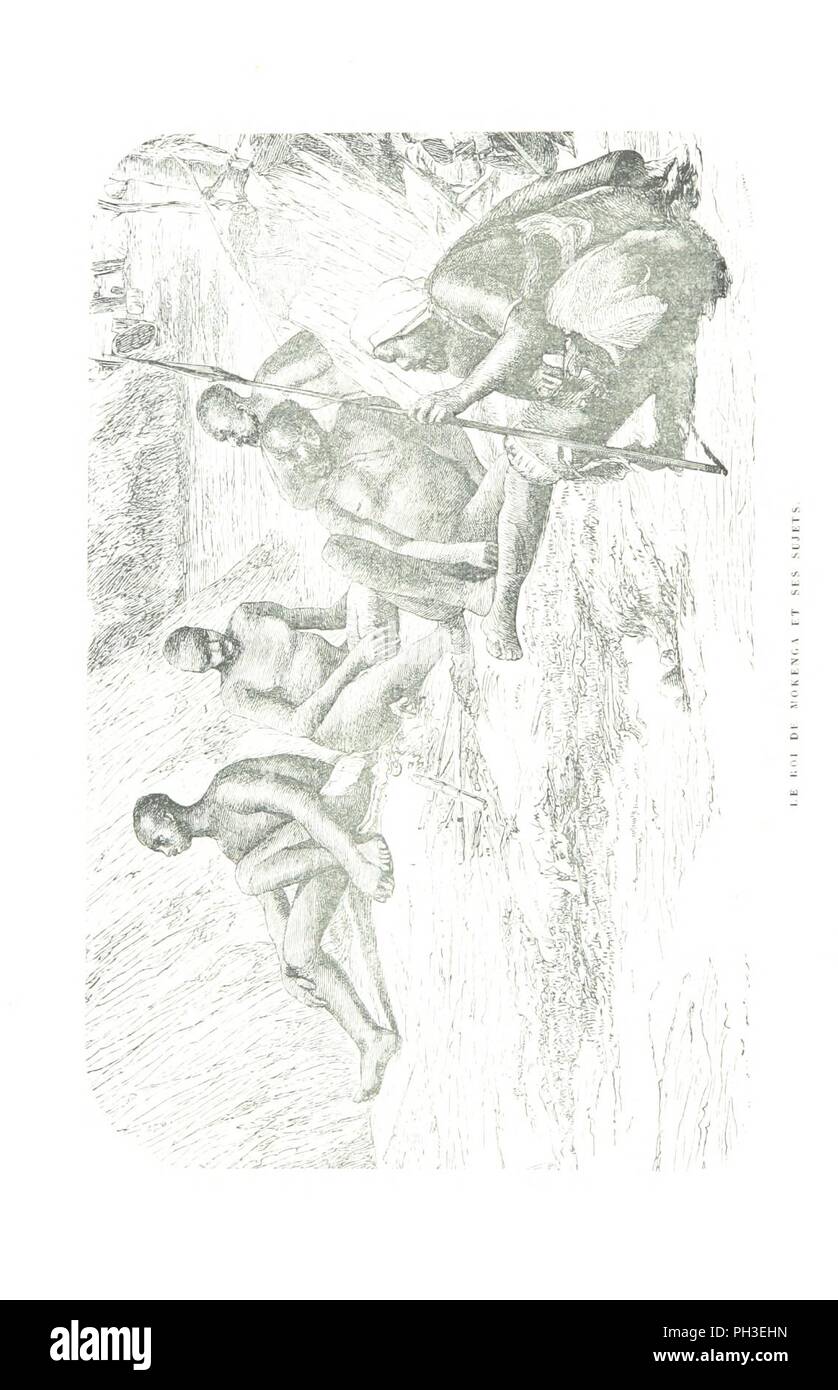Bild von Seite 272 von "L'Afrique Sauvage, nouvelles Ausflüge au pays de Ashangos. Édition" Française. augmentée'. Stockfoto