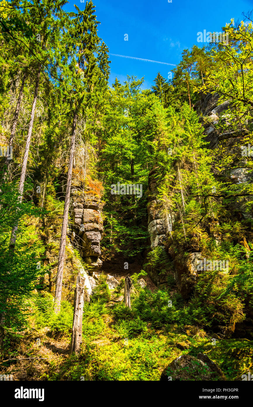 Die Kamnitz Schlucht in Sächsisch-böhmische Schweiz, Tschechische Republik Stockfoto