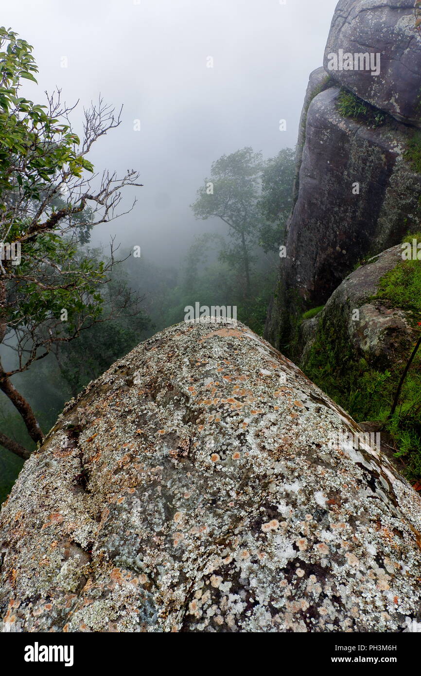 Hohe Betrachtungswinkel von Cliff und Regenwald mit Nebel Stockfoto