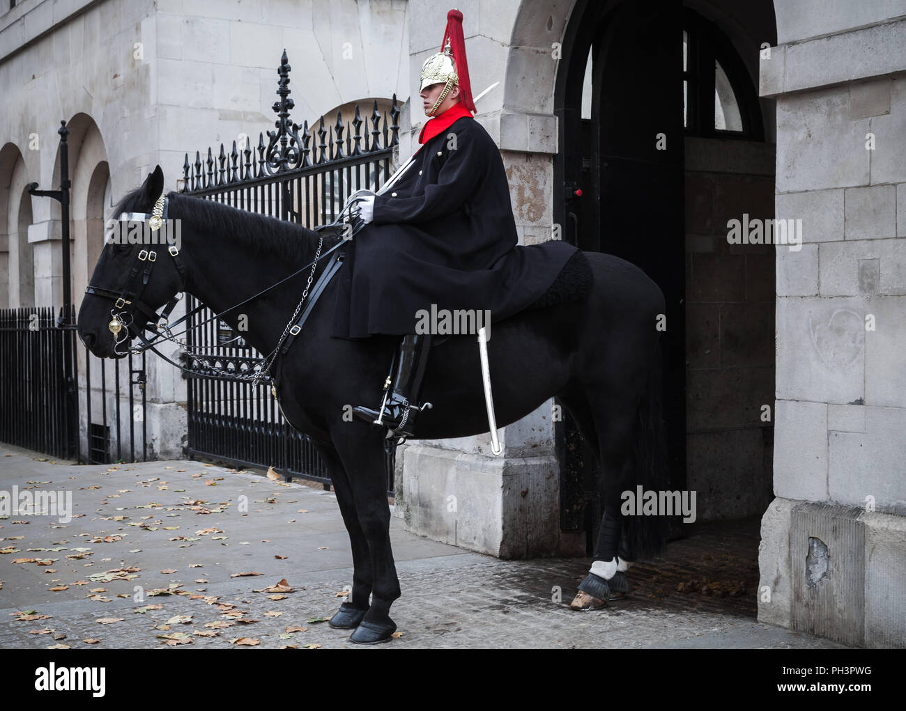 London, Großbritannien, 31. Oktober 2017: Trooper der Household Cavalry auf schwarzem Pferd steht außerhalb der Horse Guards in Whitehall in London Stockfoto