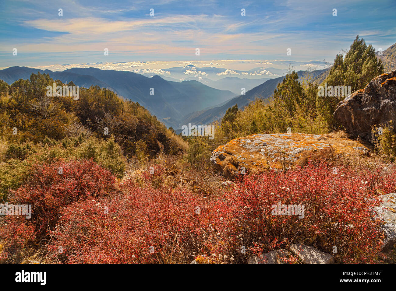 Große Himalayan Berglandschaft mit roten Vegetation und Felsbrocken im Vordergrund und weiten Blick auf die Berge im Hintergrund. Der Himalaya, Nepal Stockfoto