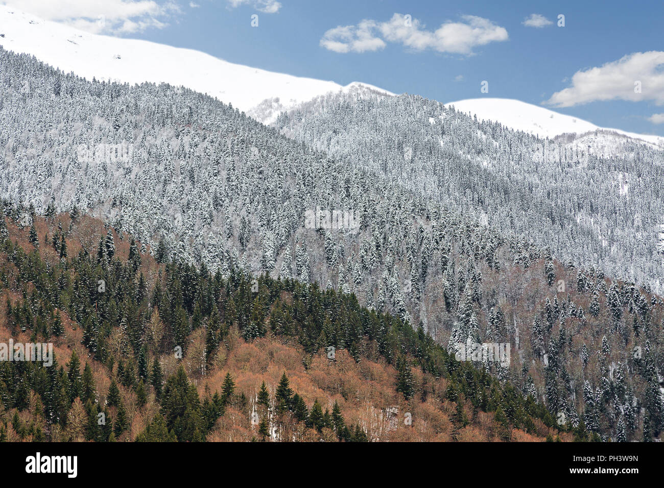Kaukasus Berge im Winter in Georgien Stockfoto