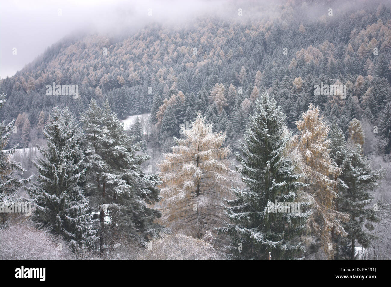 Schone Verschneite Landschaften In Den Bergen Wahrend Einer Schneefall Stockfotografie Alamy