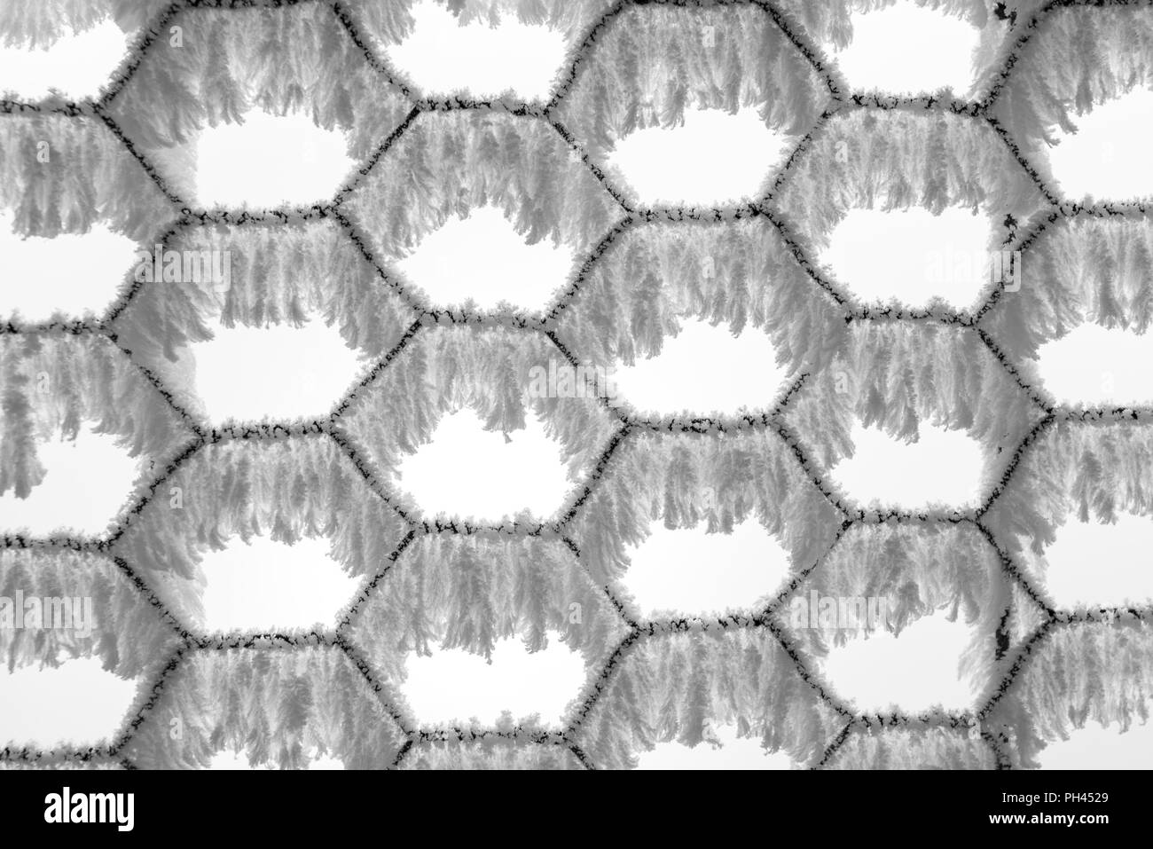 Closeup B&W Bild von Raureif auf einem chainlink fence Stockfoto