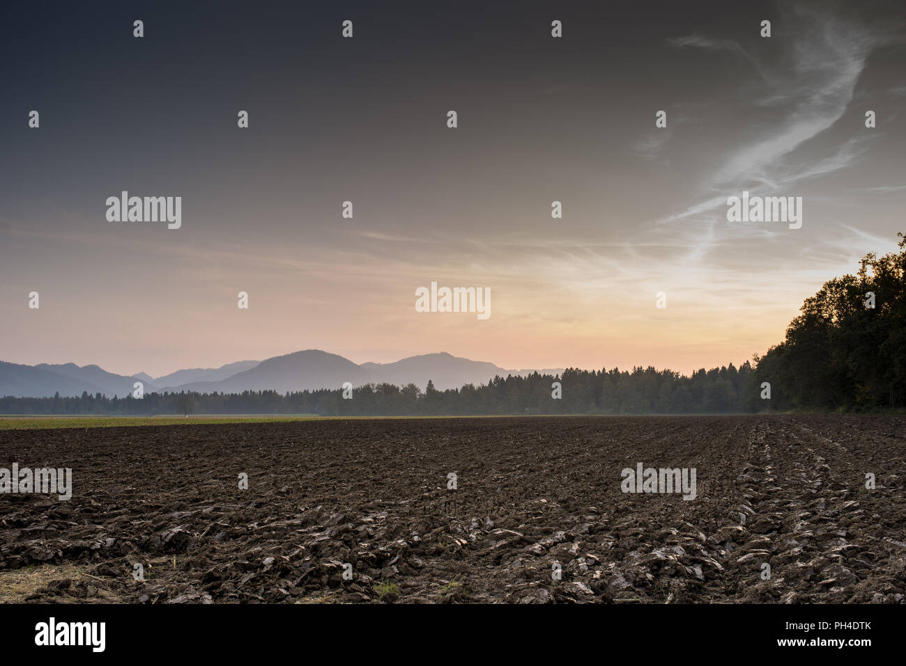 Braun Landschaft in umfangreichen, gefangen am Nachmittag mit Bäumen und Bergen von Ferne. Auf Hellgrau Orange Himmel Hintergrund isoliert. Stockfoto