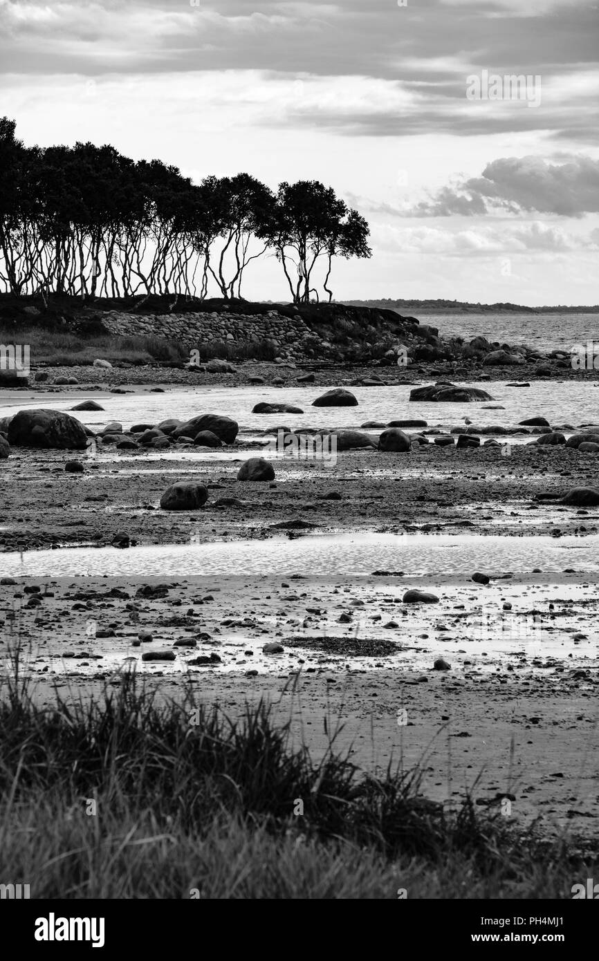 Küste des Weißen Meeres am Bolschoi Solovetsky Island, Russland. Stockfoto