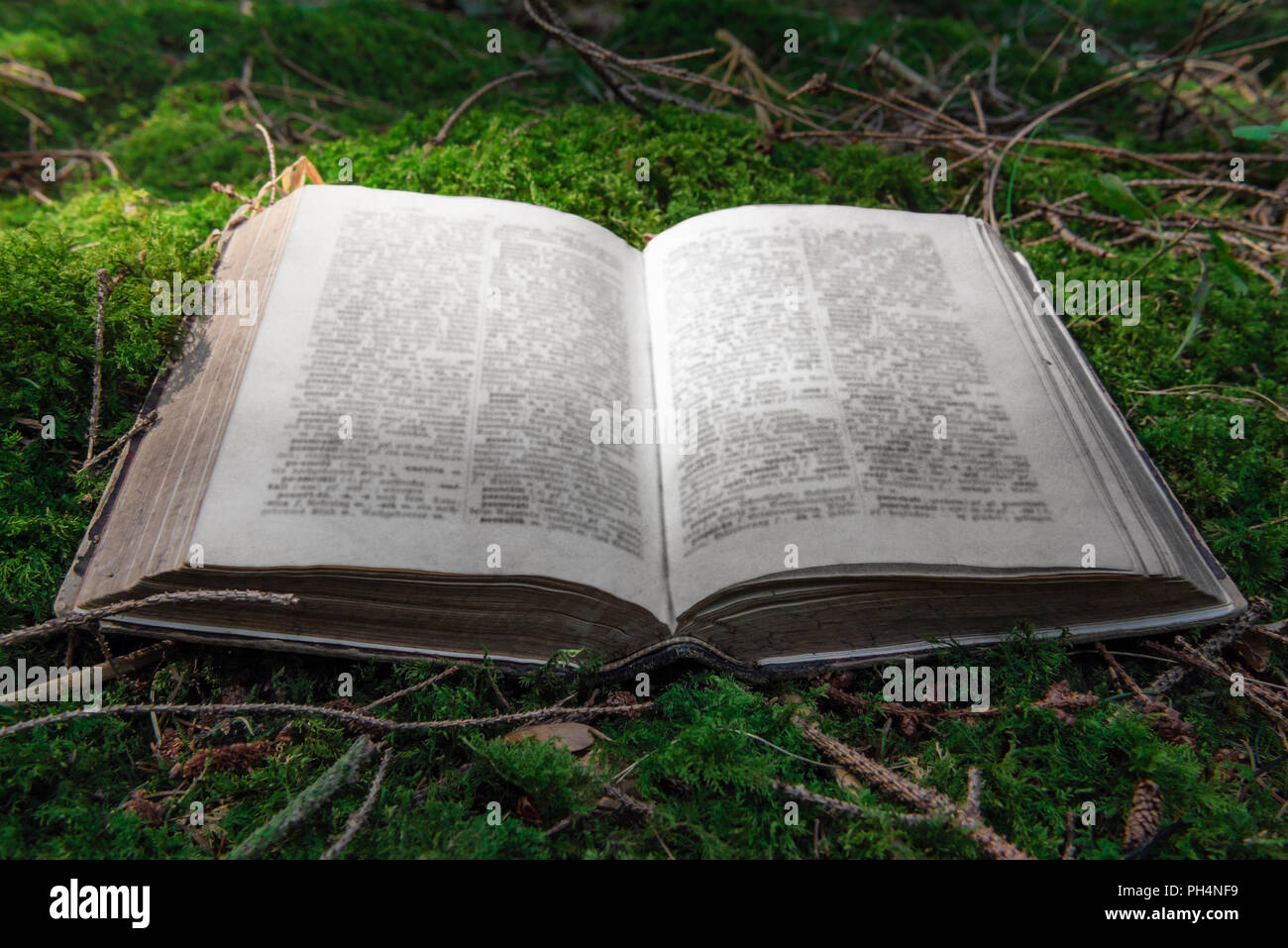 Schließen Sie herauf Bild mit einem offenen alten Buch auf einem Teppich von Moos, in einem Wald, mit einem tollen Spiel der Lichter, an einem sonnigen Tag im Sommer. Stockfoto