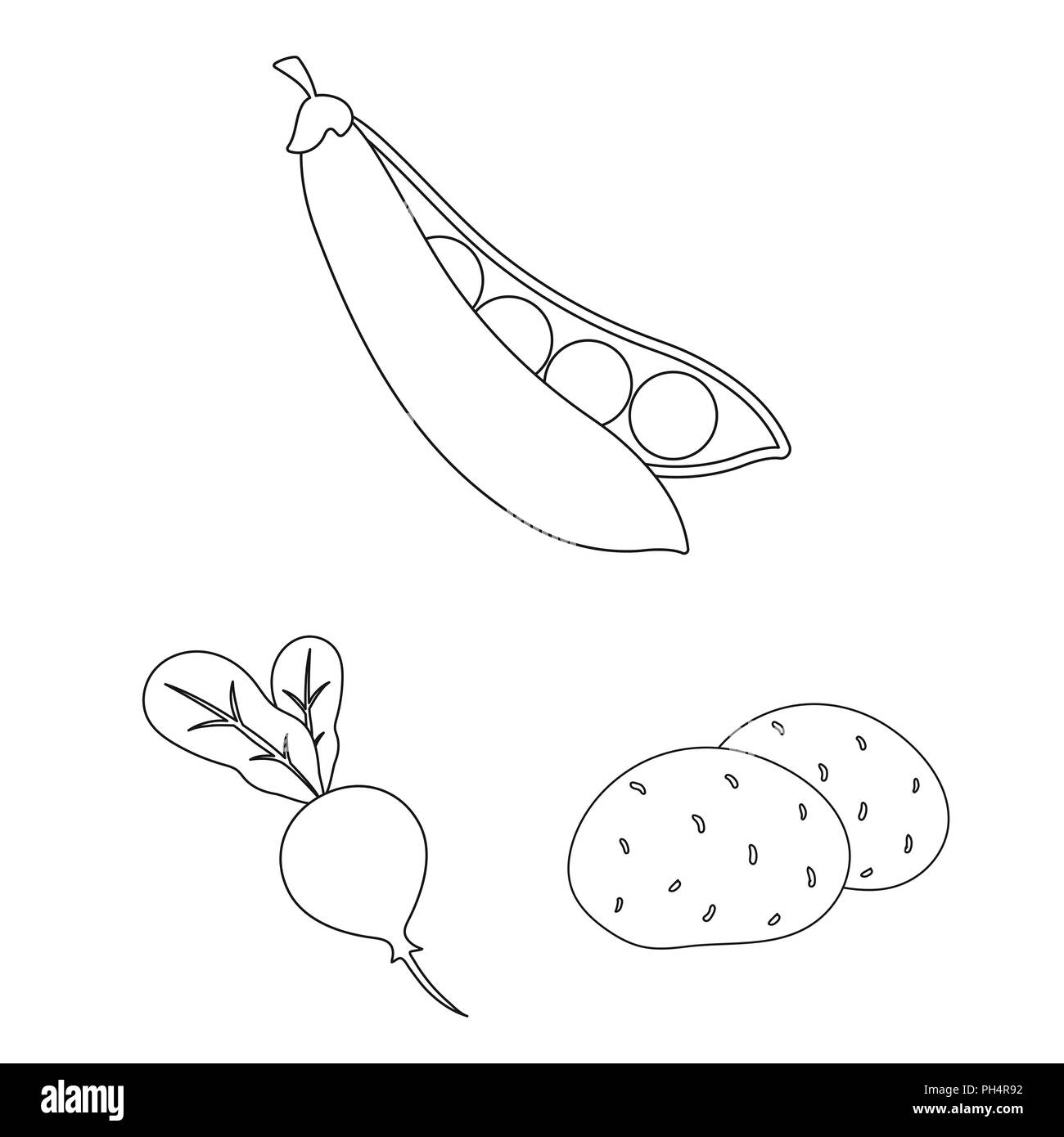 Verschiedene Arten von Gemüse Umrisse Symbole im Set Sammlung für Design. Gemüse und Vitamine vektor Symbol lieferbar Abbildung. Stock Vektor