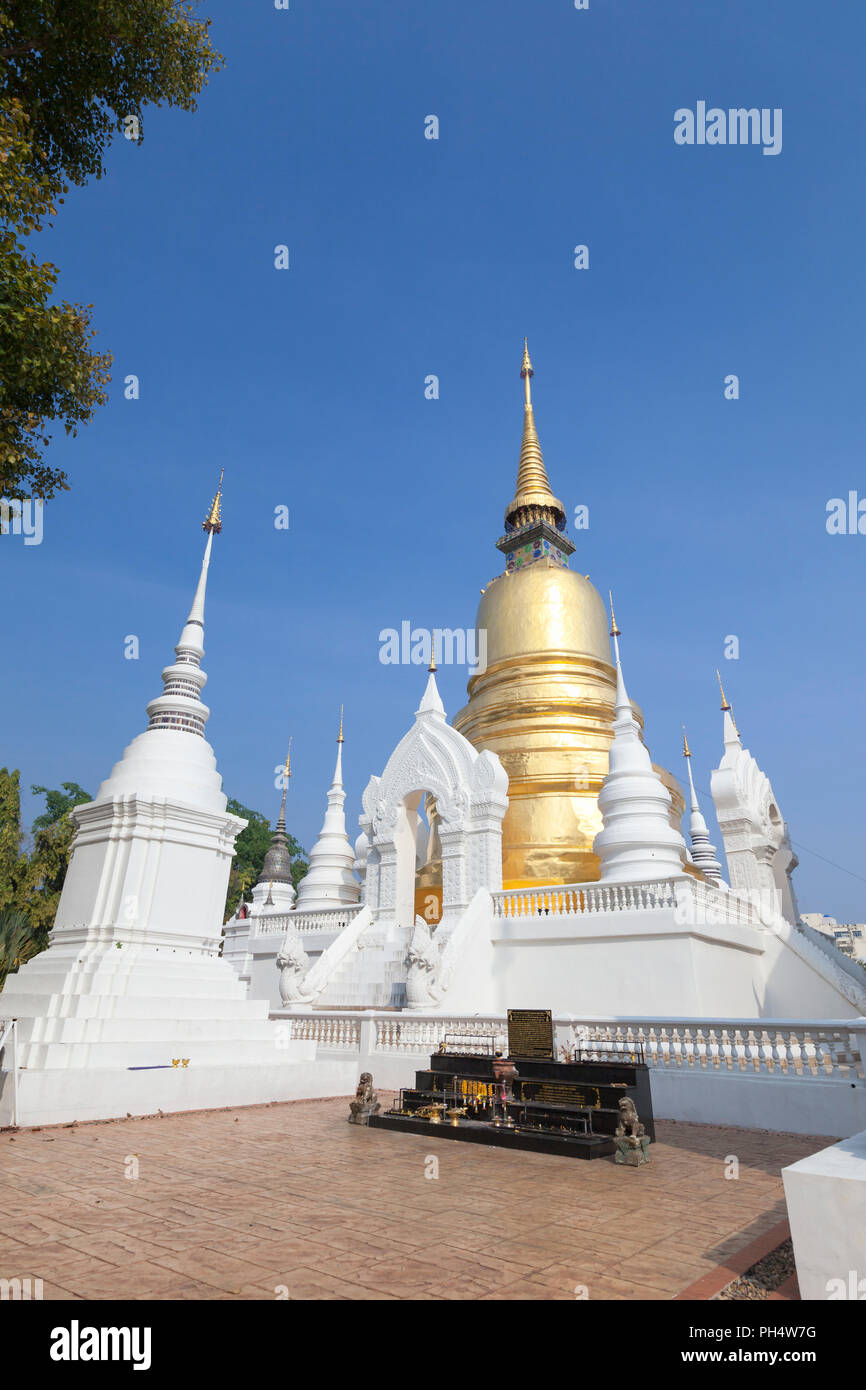 Die Chedi und Stupas im Wat Suan Dok, Chiang Mai, Thailand. Stockfoto