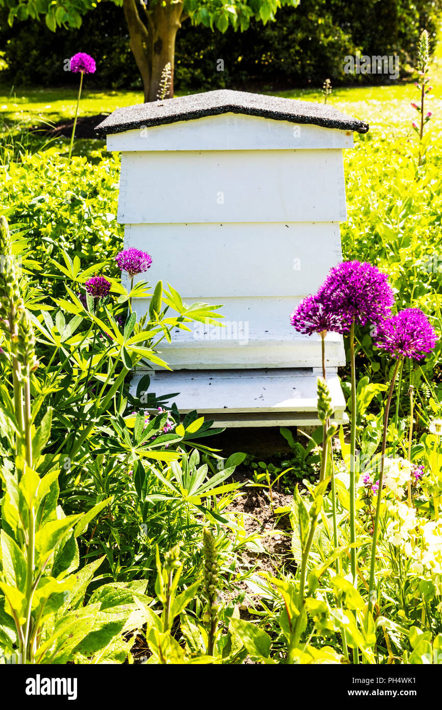 Bienenstock Garten Stockfotos und bilder Kaufen Alamy