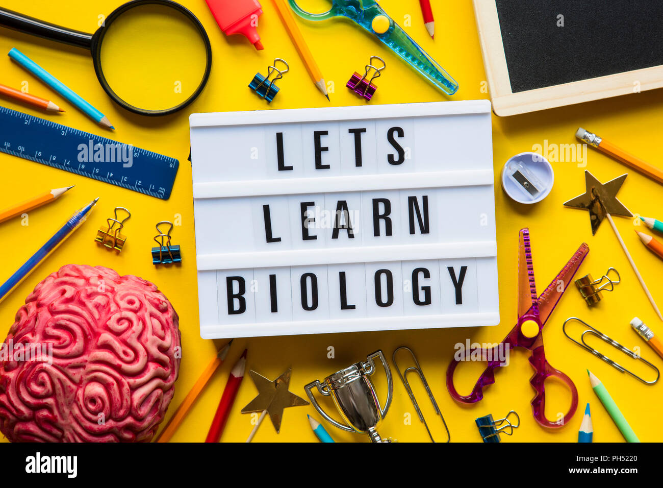 Können lernen Biologie lightbox Nachricht auf einem gelben Hintergrund Stockfoto