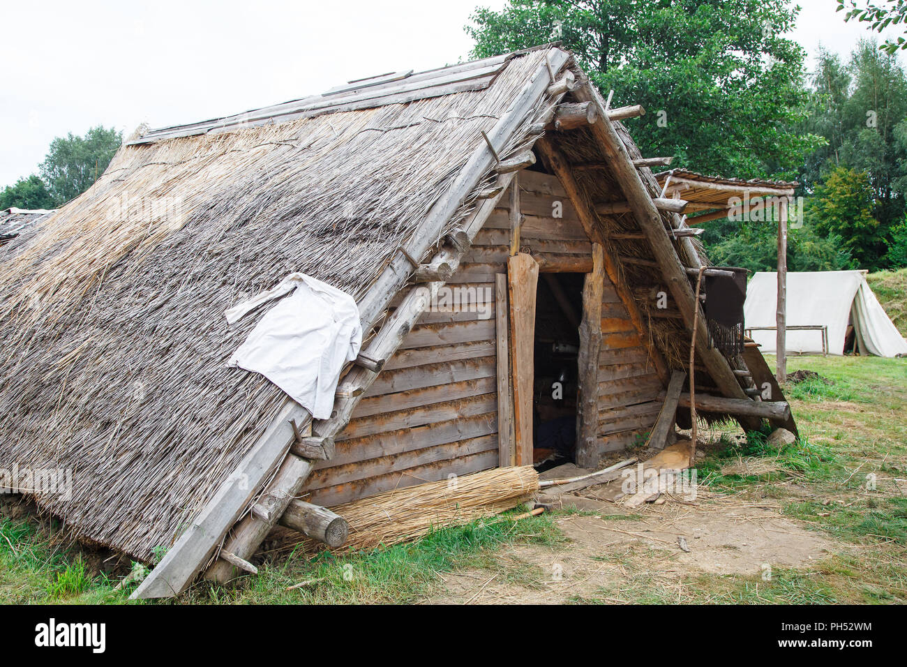 Alte Holzhütte im Wald im Sommer Tag Stockfoto