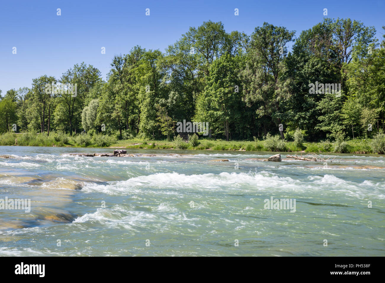 River Bank und Isar in München mit Bäumen und Wiese, Bayern, Deutschland, Europa Stockfoto