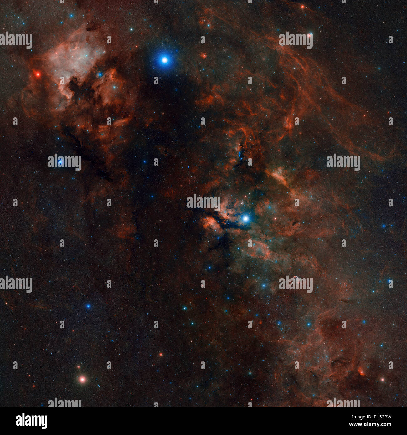 Die Cygnus Konstellation von Palomar gesehen, mit der Nordamerika-nebel, Gamma Cygni Nebel, Deneb, den Halbmond und anderen galaktischen Juwelen Stockfoto