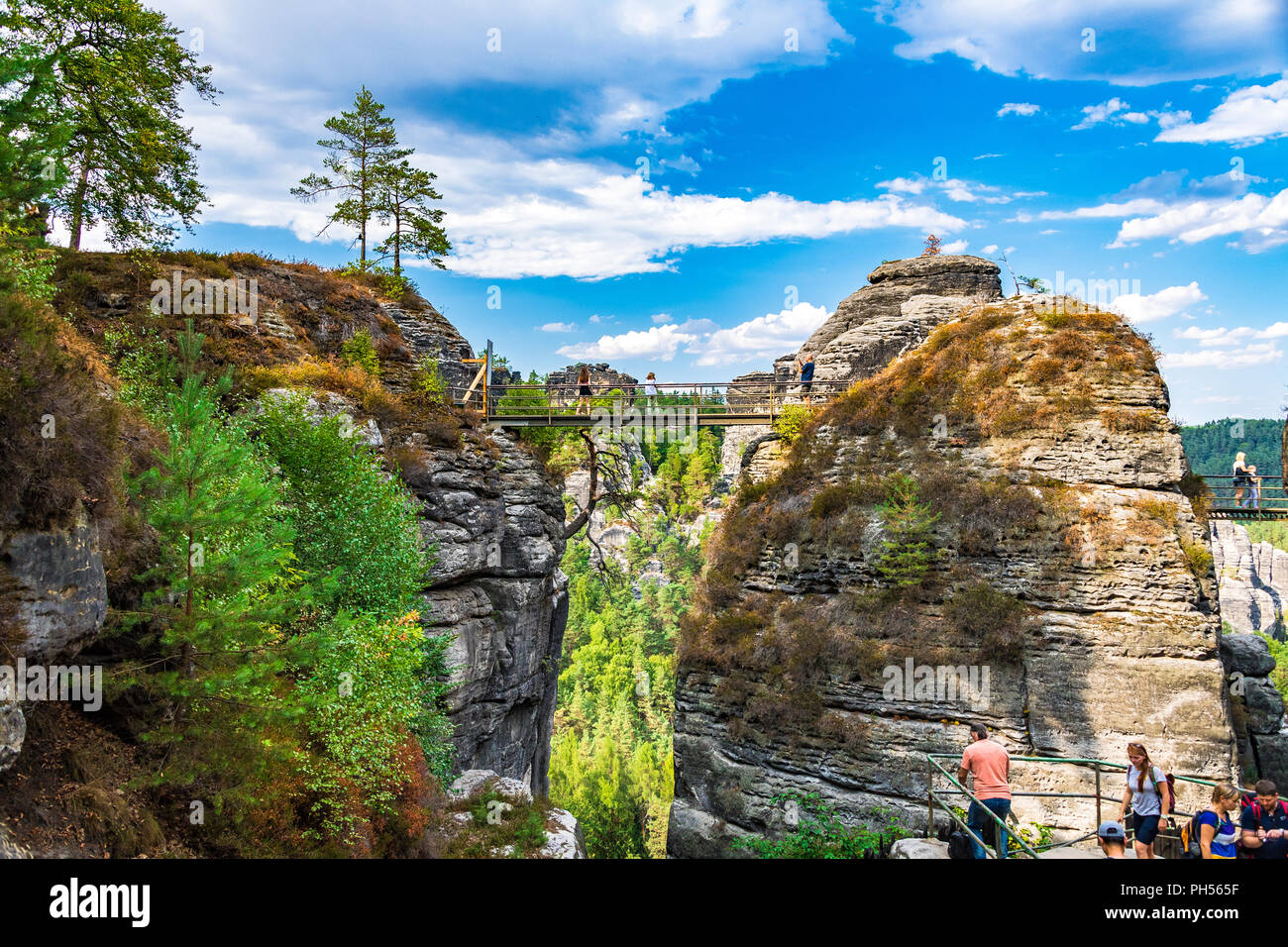 Das Elbsandsteingebirge ist ein Teil des Nationalpark Sächsische Schweiz in Deutschland Stockfoto