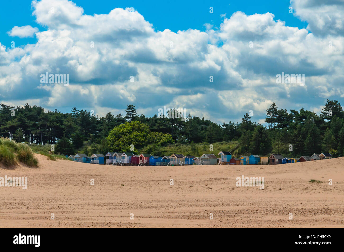 Strand Hütten auf holkham Beach neben Bäumen Stockfoto