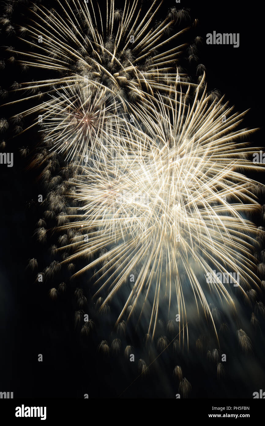 Feuerwerk in den Nachthimmel, Feuerwerk zur Feier der Nacht Stockfoto