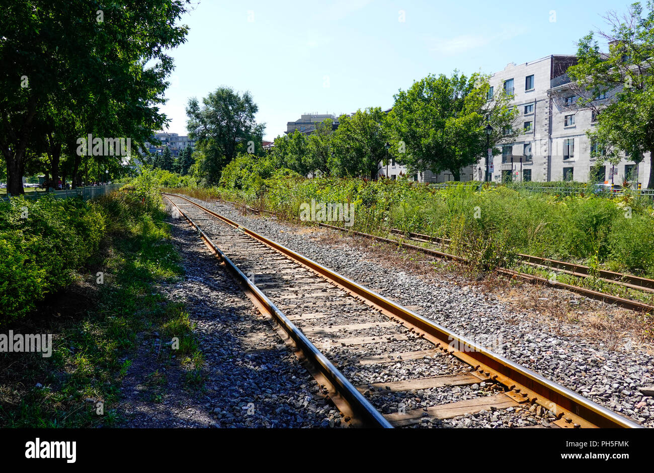 Alten Gleise durch die Altstadt von Montreal, QC, Kanada läuft Stockfoto