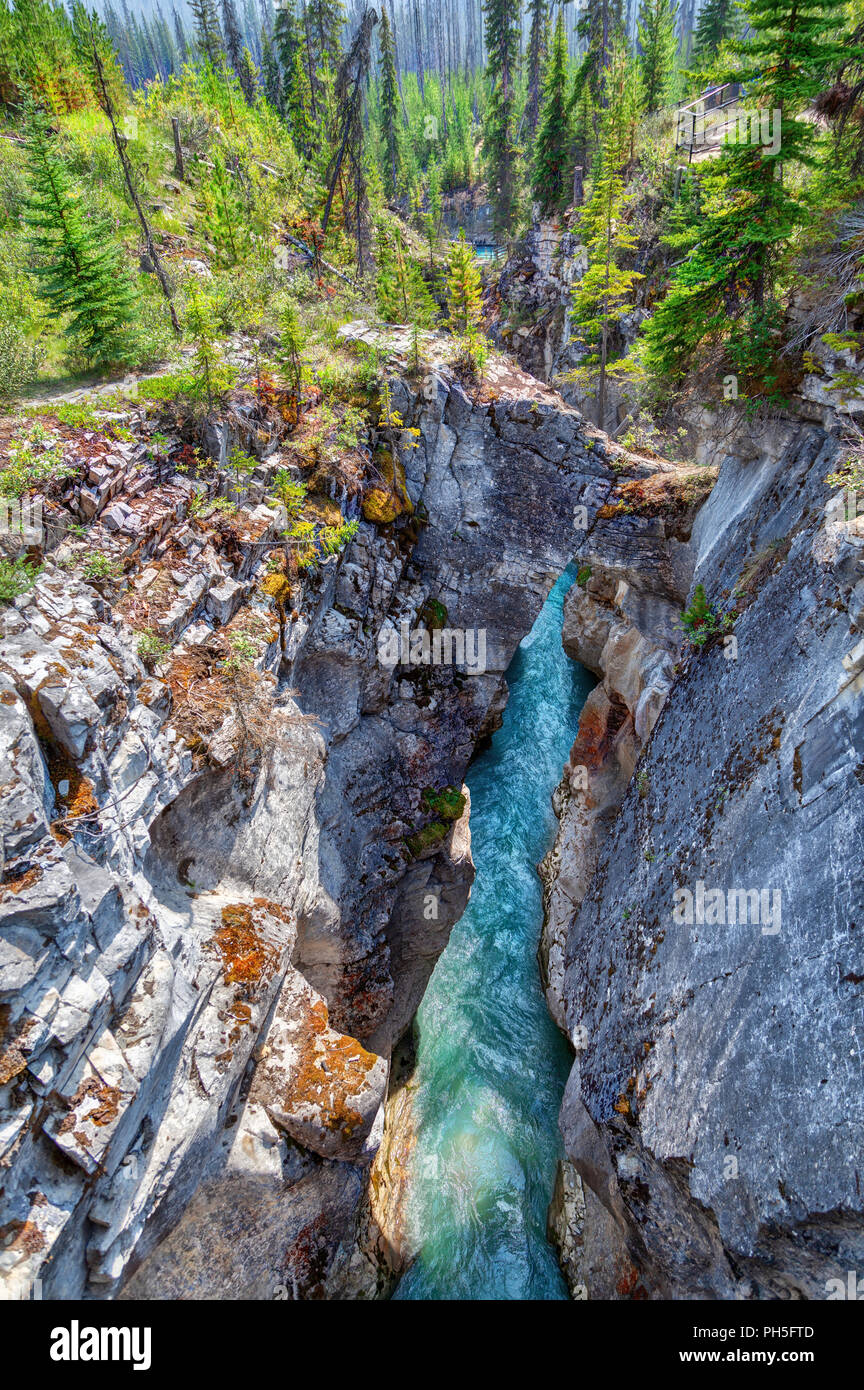 Naturstein Brücke überspannt die tiefen und engen Marble Canyon mit türkisfarbenen Wasser von Tokumm Creek unten bei Kootenay National Park fließt, ich Stockfoto