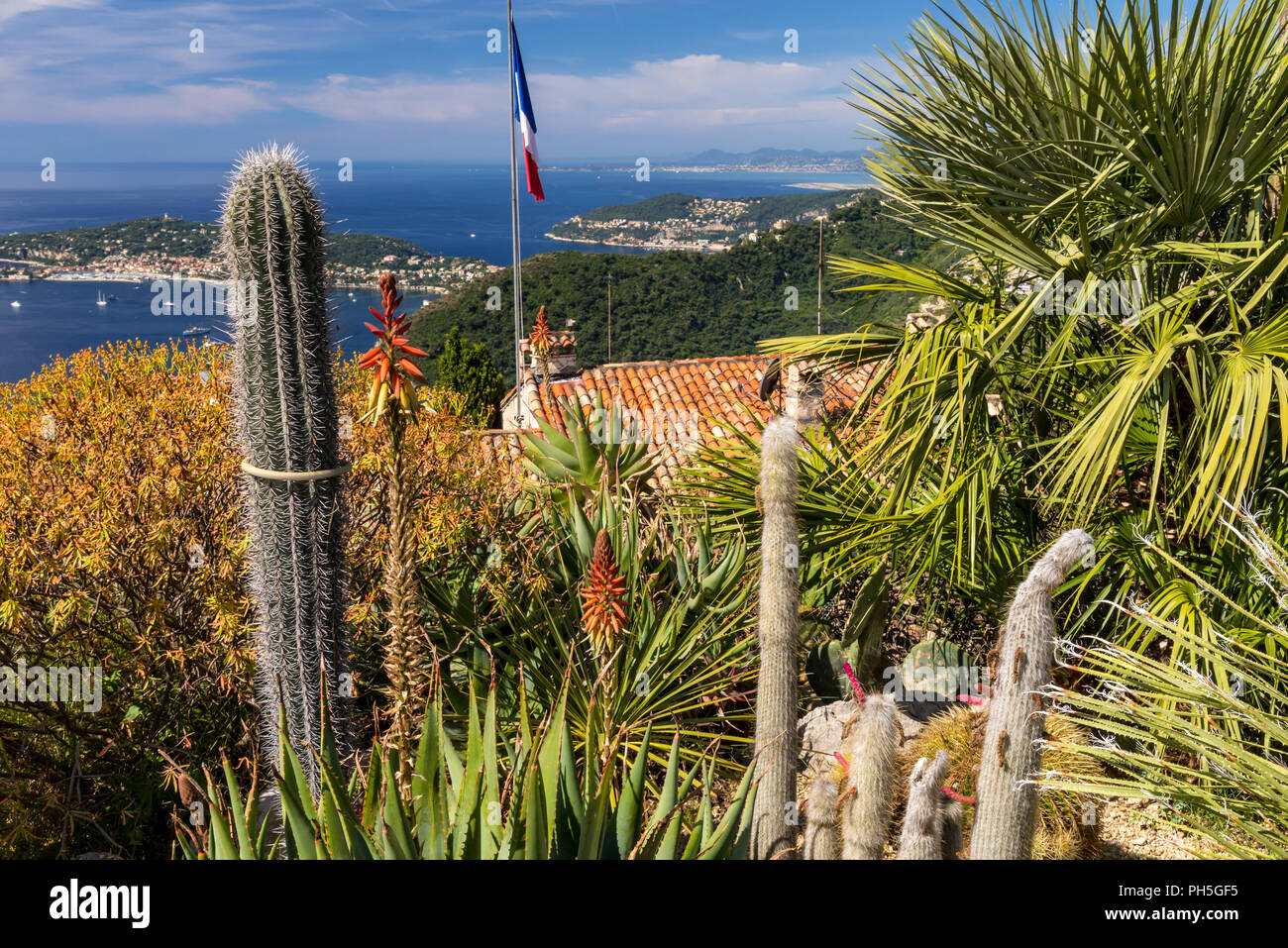 Der exotische garten Fotos und Bildmaterial in hoher Auflösung Alamy