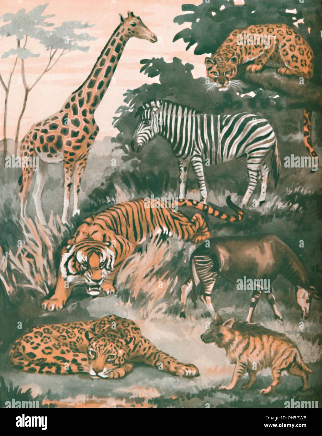 Tiere Durch Punkte Und Streifen 1935 Geholfen Artist Unbekannt Stockfotografie Alamy