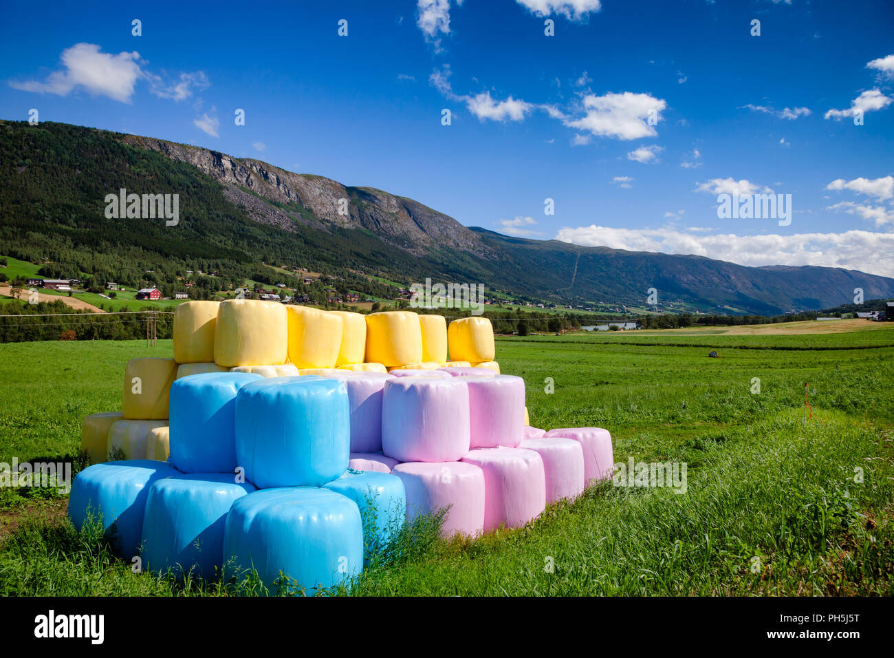 Reihe von bunten blau rosa und gelb Kunststoff verpackte Strohballen auf einem Feld in Süd-norwegen mit Gebirge im Hintergrund Stockfoto