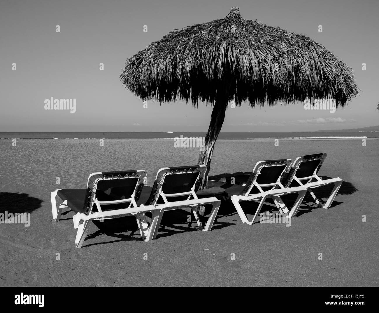 Stühle und Palm Tree Sonnenschirm am Strand Stockfoto