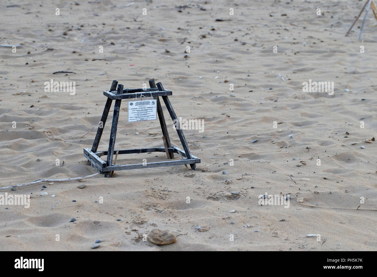 Nistplätze für die Unechte Karettschildkröte (Caretta caretta) Stockfoto