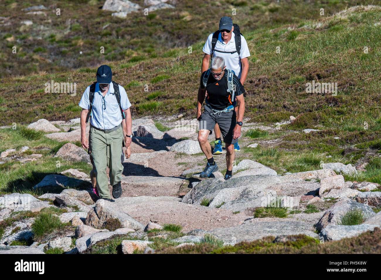 Vier Touristen mit Rucksäcken zu Fuß auf den Berg weg im Frühjahr/Sommer im Cairngorms Nationalpark, Highland, Schottland, UK Stockfoto