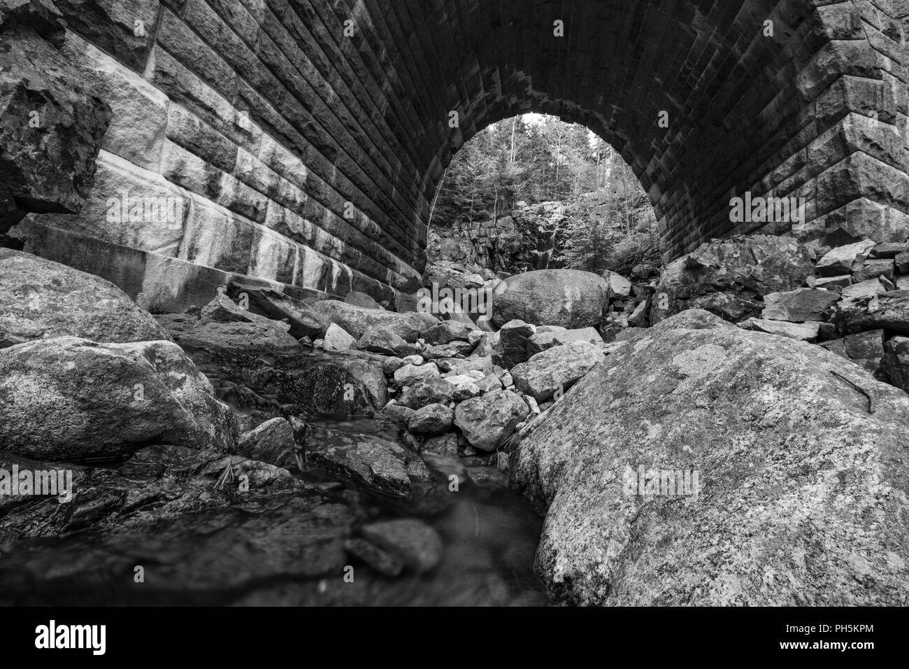 Acadia National Park in Maine Stockfoto