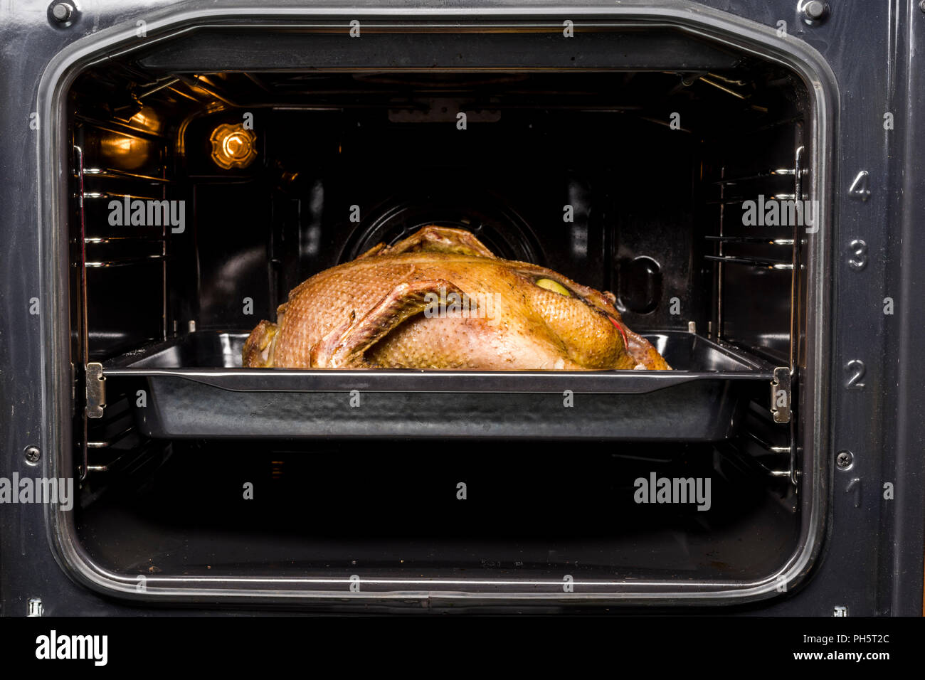 Ente mit Äpfeln in den Ofen Stockfoto