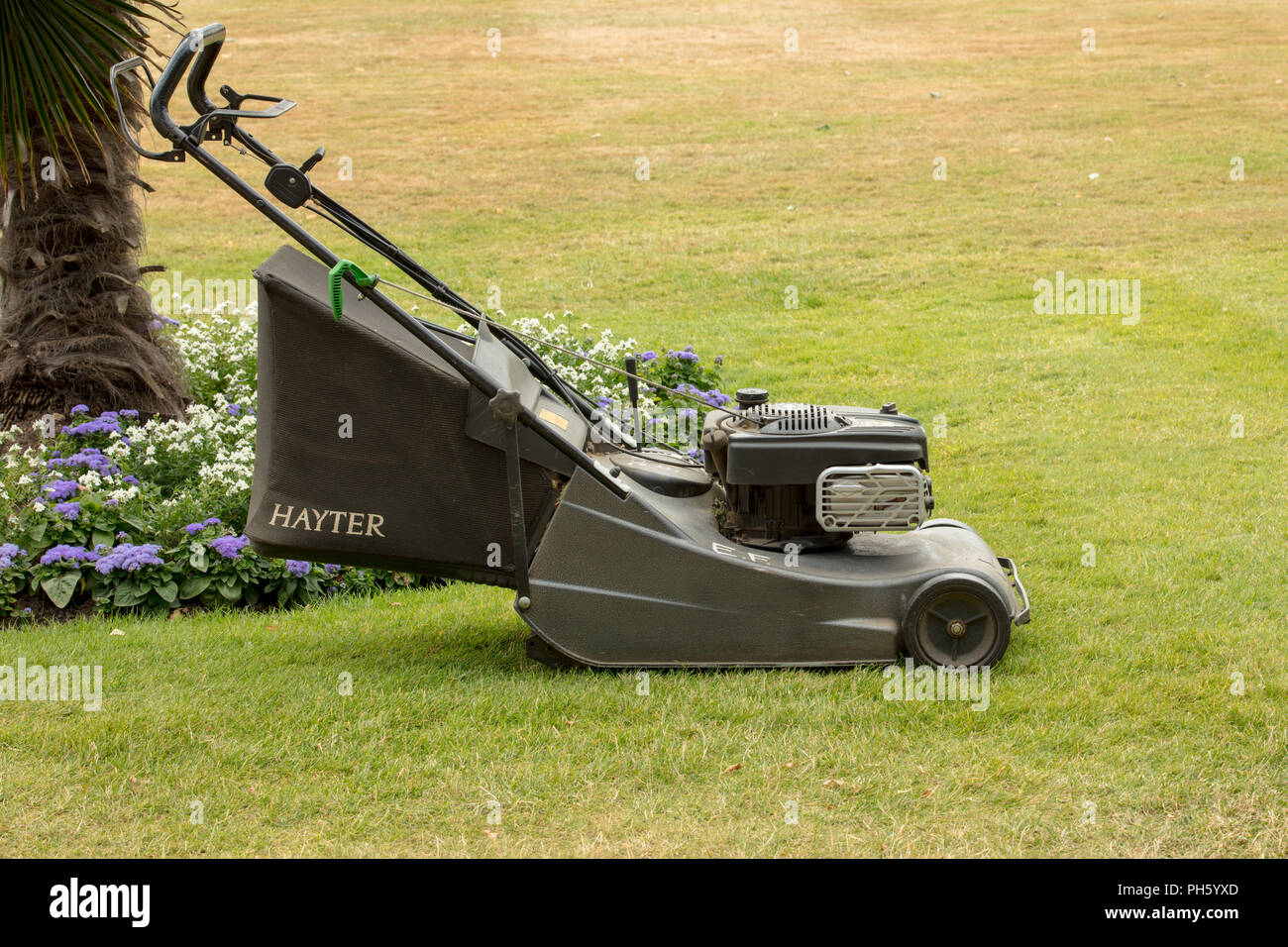 Petrol Mower Stockfotos und bilder Kaufen Alamy