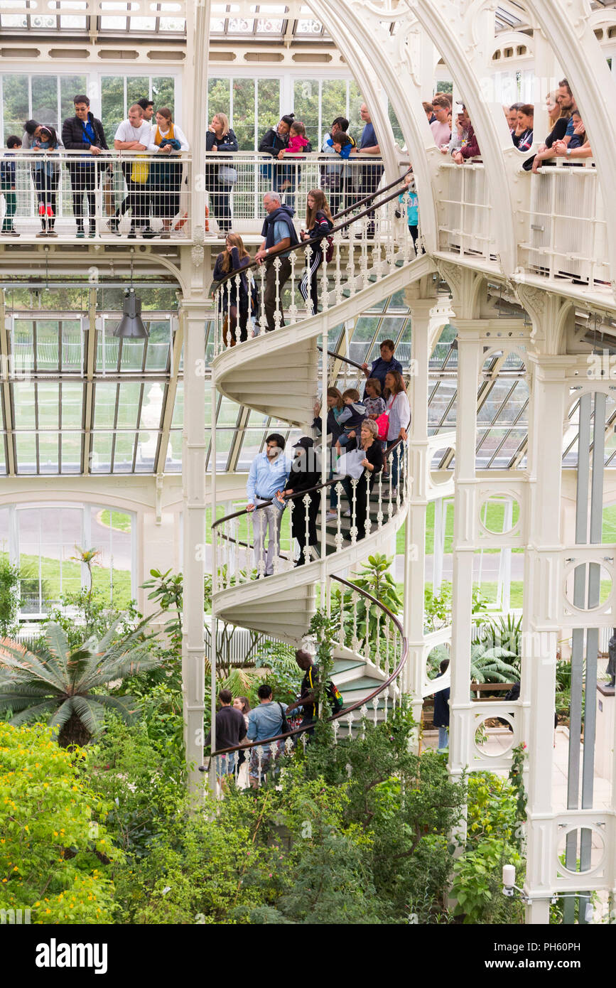 Ansicht der eiserne Wendeltreppe vom Balkon des wiederhergestellten/nach der Restaurierung 2018 der Viktorianischen gemäßigt Haus am Royal Botanic Garden, Kew, London Vereinigtes Königreich Großbritannien Stockfoto