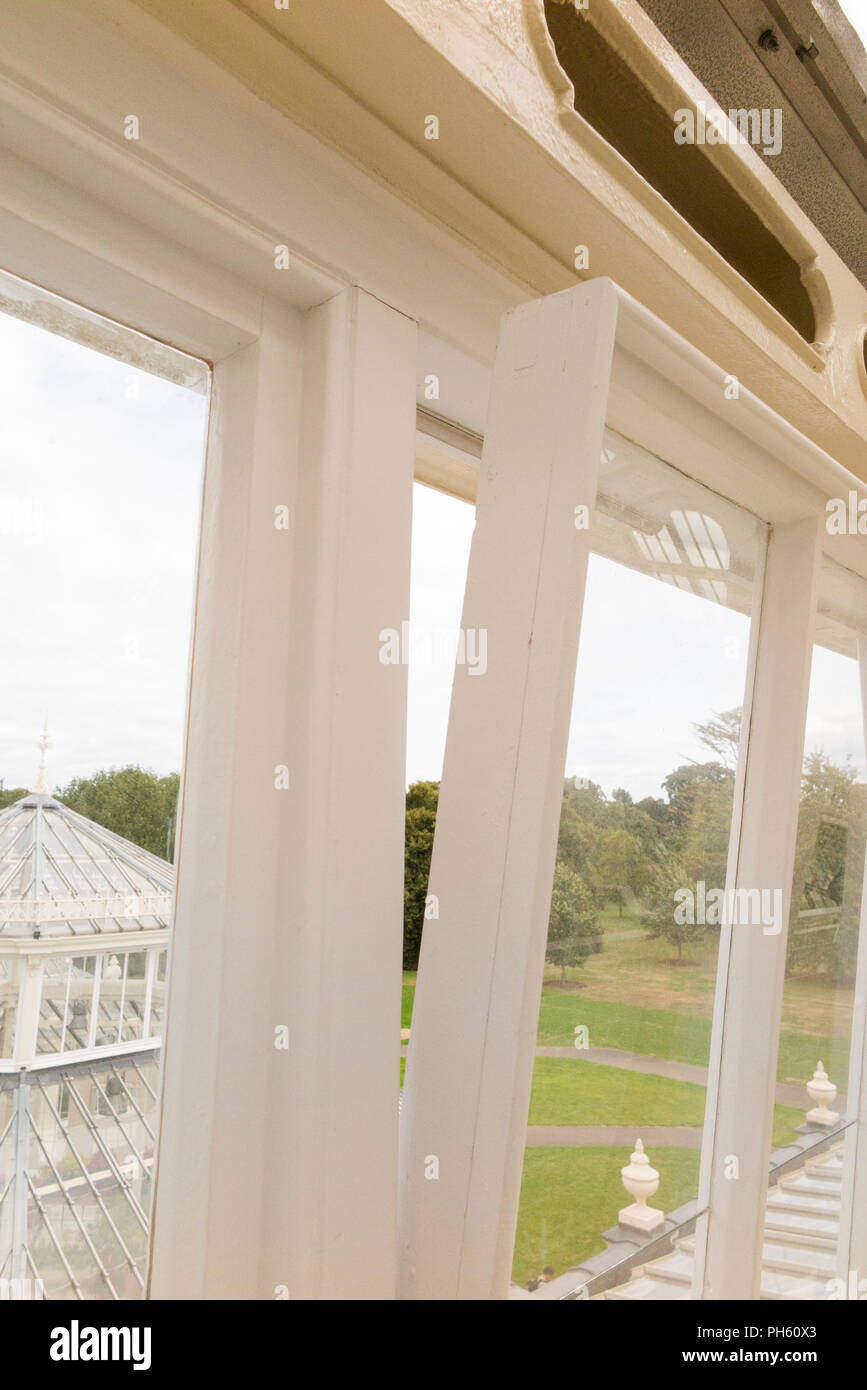 Neue Verglasung aus Holz / Holz / Holz Ersatz verglasten Fenstern in der restaurierten Viktorianischen gemäßigt Haus an der Royal Botanic Garden, Kew. London. Großbritannien Stockfoto