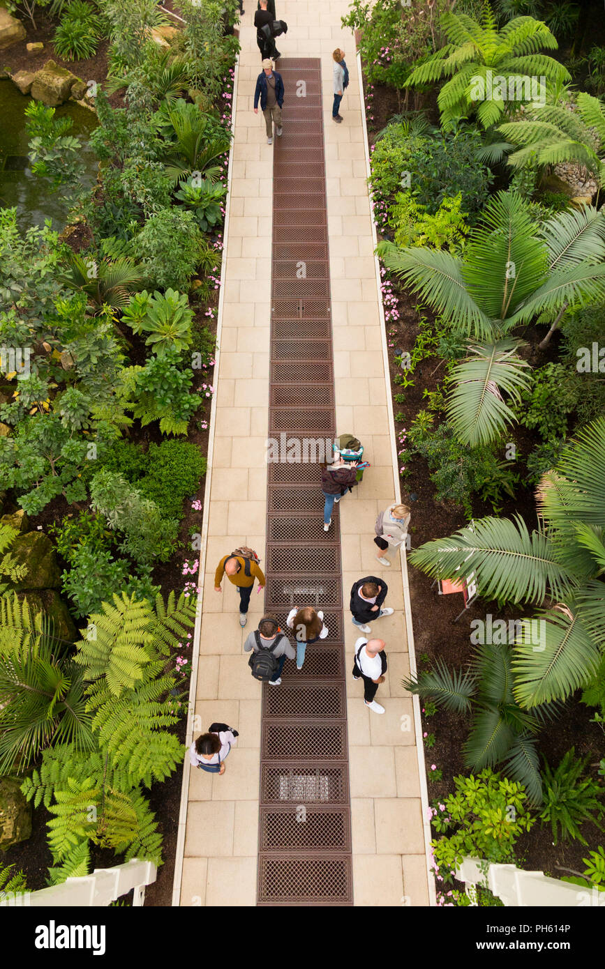 Blick vom Balkon des wiederhergestellten/nach der Restaurierung 2018 der Viktorianischen gemäßigt Haus an der Royal Botanic Garden, Kew. London. UK. (101) Stockfoto