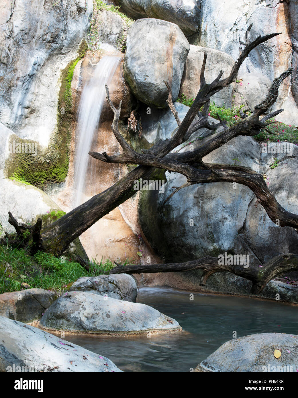 Landschaft aus Mutter Natur in ihrer ganzen Schönheit. Stockfoto