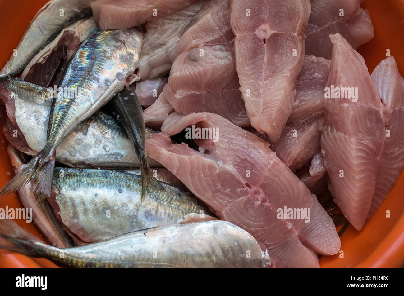 Raw Makrelen mit Scheiben von butterfische Stockfoto