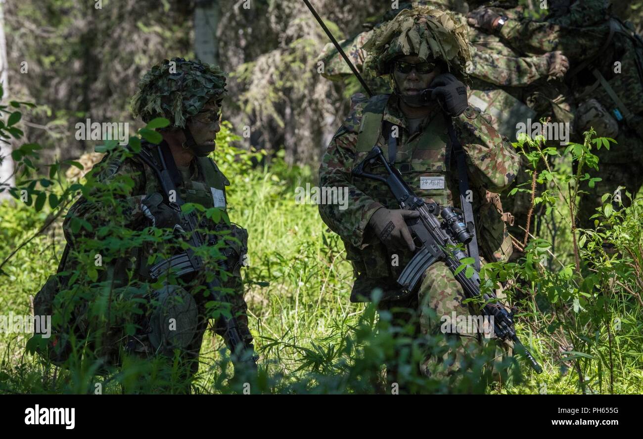 Us-Armee Alaska Infanteristen vom 1 Stryker Brigade Combat Team, 25 Infanterie Division, und Japan Masse Verteidigung-kraft Soldaten aus dem 1 Airborne Brigade ausführen Platoon Bewegung - - Kontakt und Support-für-Feuer Operationen während der Übung Arktis Aurora bei Joint Base Elmendorf-Richardson, Alaska, 14. Juni 2018. Arktis Aurora ist eine jährliche bilaterale Übung, in denen Elemente von U.S. Army Alaska und die JGSDF, die auf die Stärkung der Bindungen zwischen den beiden Nationen konzentriert sich durch die Ausführung von kombinierten kleine Einheit airborne Kenntnisse und grundlegende Waffen Treffsicherheit. Stockfoto