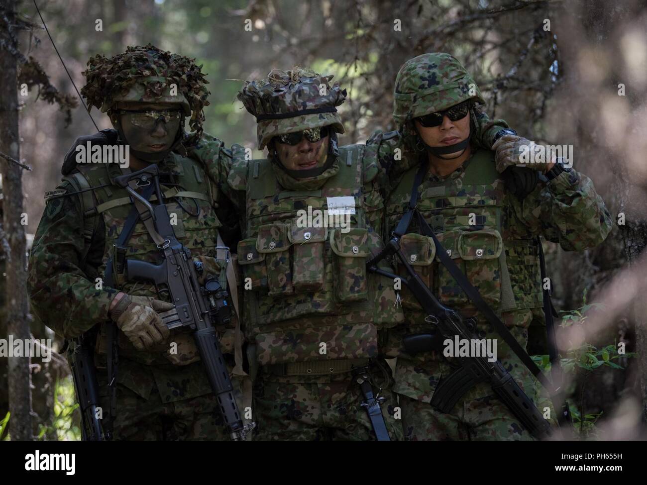 Us-Armee Alaska Infanteristen vom 1 Stryker Brigade Combat Team, 25 Infanterie Division, und Japan Masse Verteidigung-kraft Soldaten aus dem 1 Airborne Brigade ausführen Platoon Bewegung - - Kontakt und Support-für-Feuer Operationen während der Übung Arktis Aurora bei Joint Base Elmendorf-Richardson, Alaska, 14. Juni 2018. Arktis Aurora ist eine jährliche bilaterale Übung, in denen Elemente von U.S. Army Alaska und die JGSDF, die auf die Stärkung der Bindungen zwischen den beiden Nationen konzentriert sich durch die Ausführung von kombinierten kleine Einheit airborne Kenntnisse und grundlegende Waffen Treffsicherheit. Stockfoto