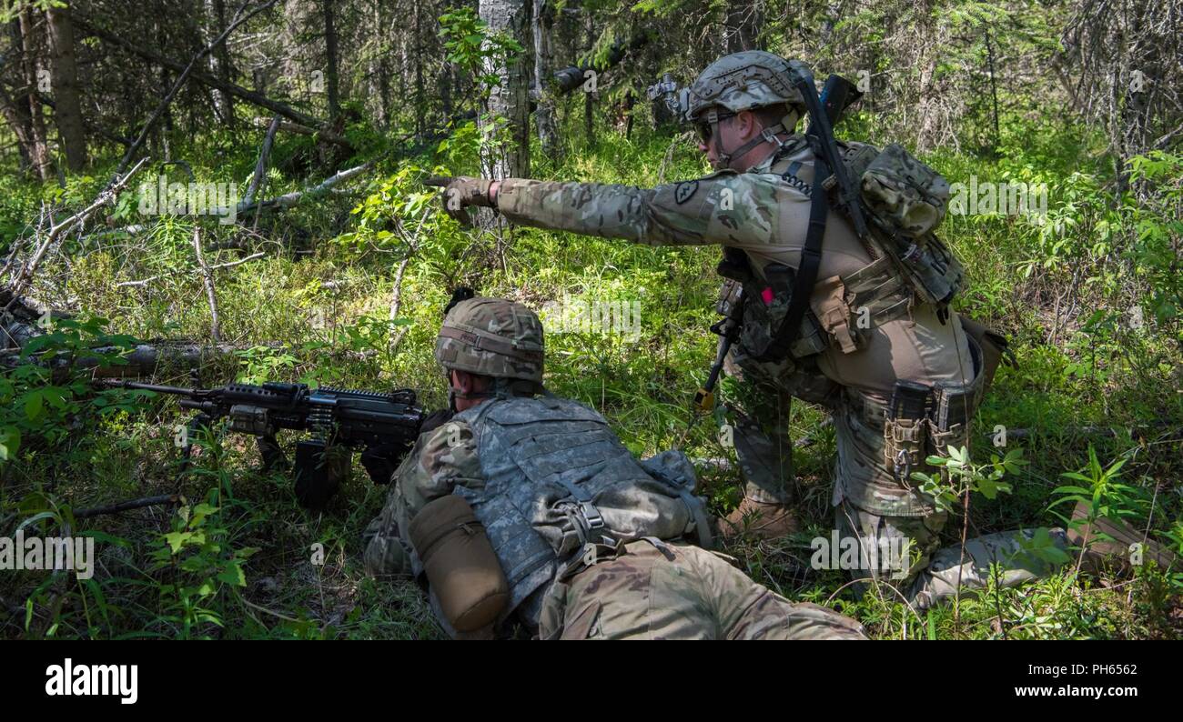 Us-Armee Alaska Infanteristen vom 1 Stryker Brigade Combat Team, 25 Infanterie Division, und Japan Masse Verteidigung-kraft Soldaten aus dem 1 Airborne Brigade ausführen Platoon Bewegung - - Kontakt und Support-für-Feuer Operationen während der Übung Arktis Aurora bei Joint Base Elmendorf-Richardson, Alaska, 14. Juni 2018. Arktis Aurora ist eine jährliche bilaterale Übung, in denen Elemente von U.S. Army Alaska und die JGSDF, die auf die Stärkung der Bindungen zwischen den beiden Nationen konzentriert sich durch die Ausführung von kombinierten kleine Einheit airborne Kenntnisse und grundlegende Waffen Treffsicherheit. Stockfoto