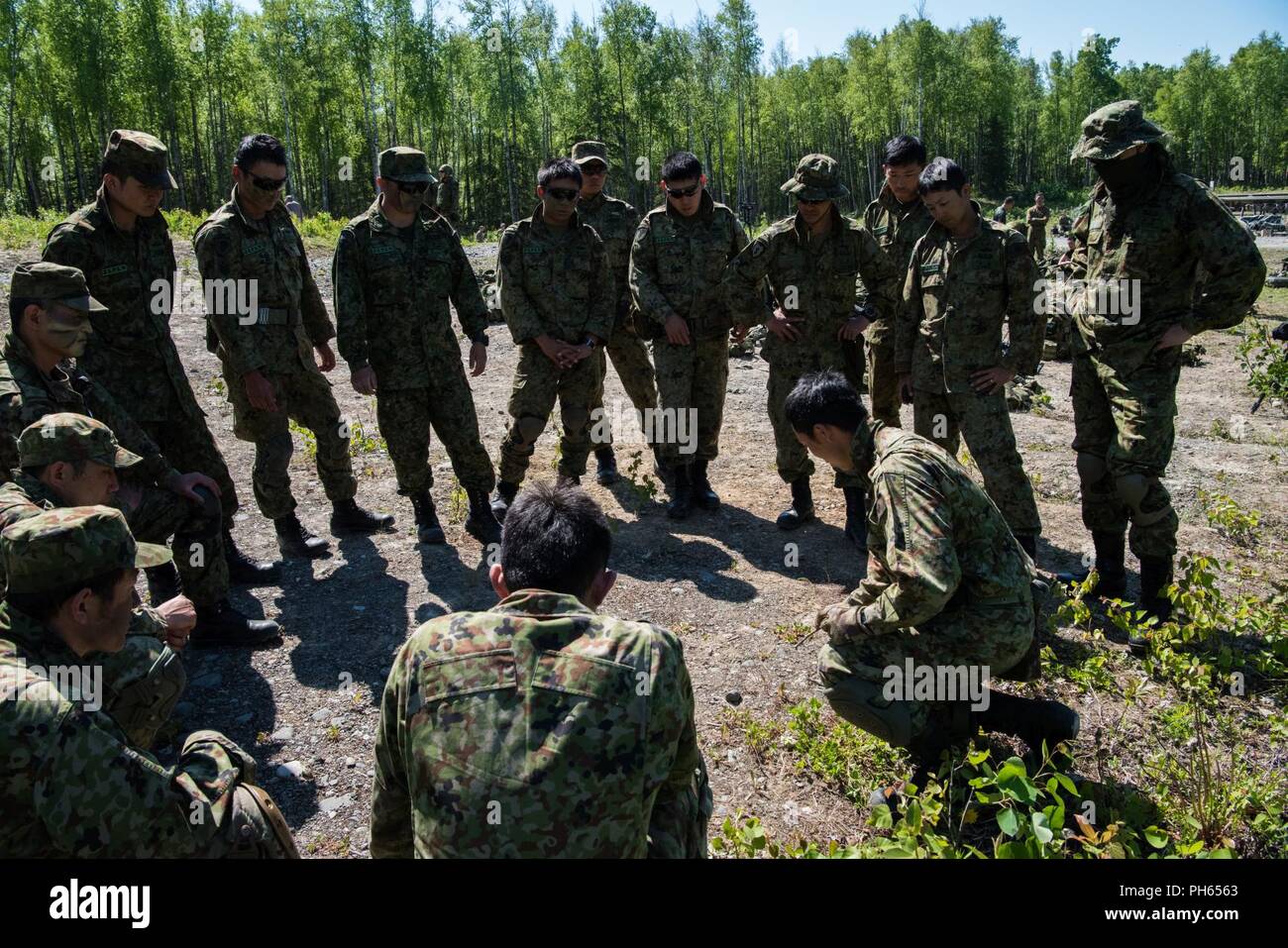 Us-Armee Alaska Infanteristen vom 1 Stryker Brigade Combat Team, 25 Infanterie Division, und Japan Masse Verteidigung-kraft Soldaten aus dem 1 Airborne Brigade ausführen Platoon Bewegung - - Kontakt und Support-für-Feuer Operationen während der Übung Arktis Aurora bei Joint Base Elmendorf-Richardson, Alaska, 14. Juni 2018. Arktis Aurora ist eine jährliche bilaterale Übung, in denen Elemente von U.S. Army Alaska und die JGSDF, die auf die Stärkung der Bindungen zwischen den beiden Nationen konzentriert sich durch die Ausführung von kombinierten kleine Einheit airborne Kenntnisse und grundlegende Waffen Treffsicherheit. Stockfoto