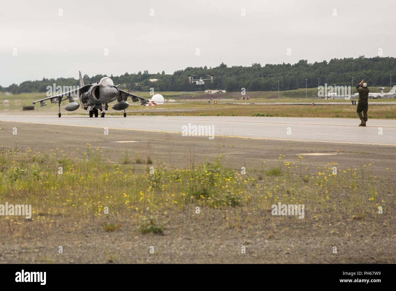 Marine Attack Squadron (VMA) 214, AV-8B Harrier kommen am Joint Base Elmendorf-Richardson, Alaska Juni 27., 2018. VMA-214 wird in die 2018 Arctic Thunder Air Show mit einem vorbeiflug, hover Demonstration beteiligen, und eine statische Darstellung. Stockfoto