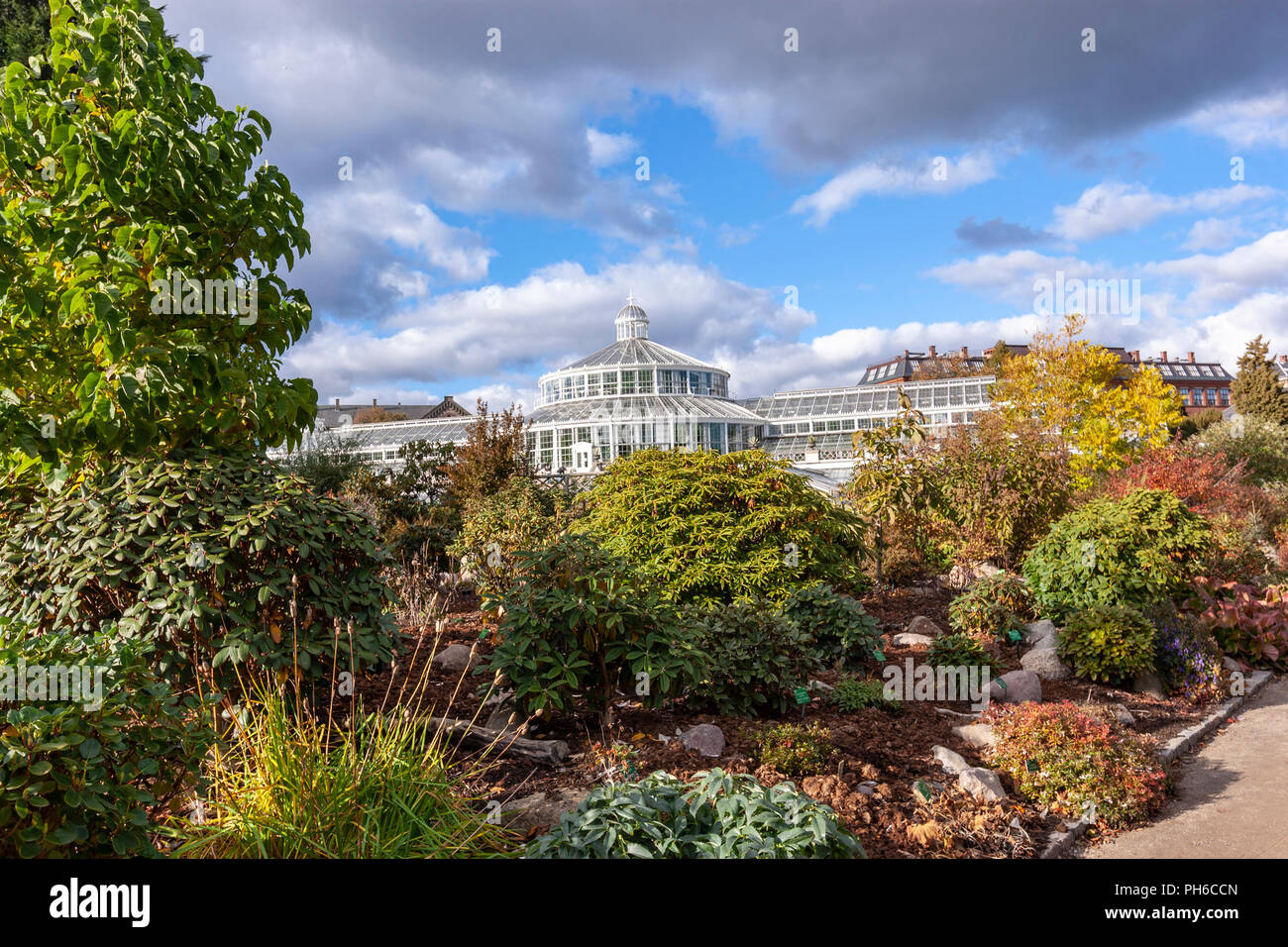 Das Palm House Gewachshaus Im Botanischen Garten Der Universitat