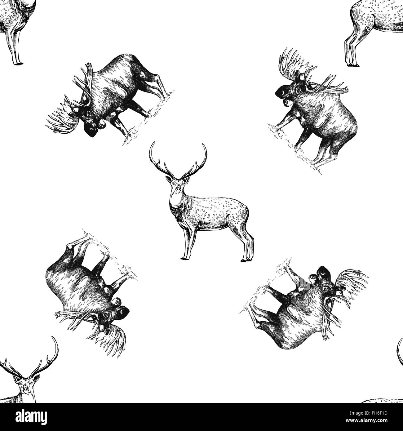 Nahtlose Muster von Hand gezeichnete Skizze stil Elche und Rehe auf weißem Hintergrund. Vector Illustration. Stock Vektor