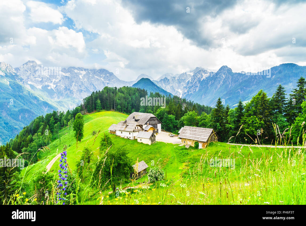 Blick auf den Hof in die slowenischen Alpen durch Logar-tal Stockfoto