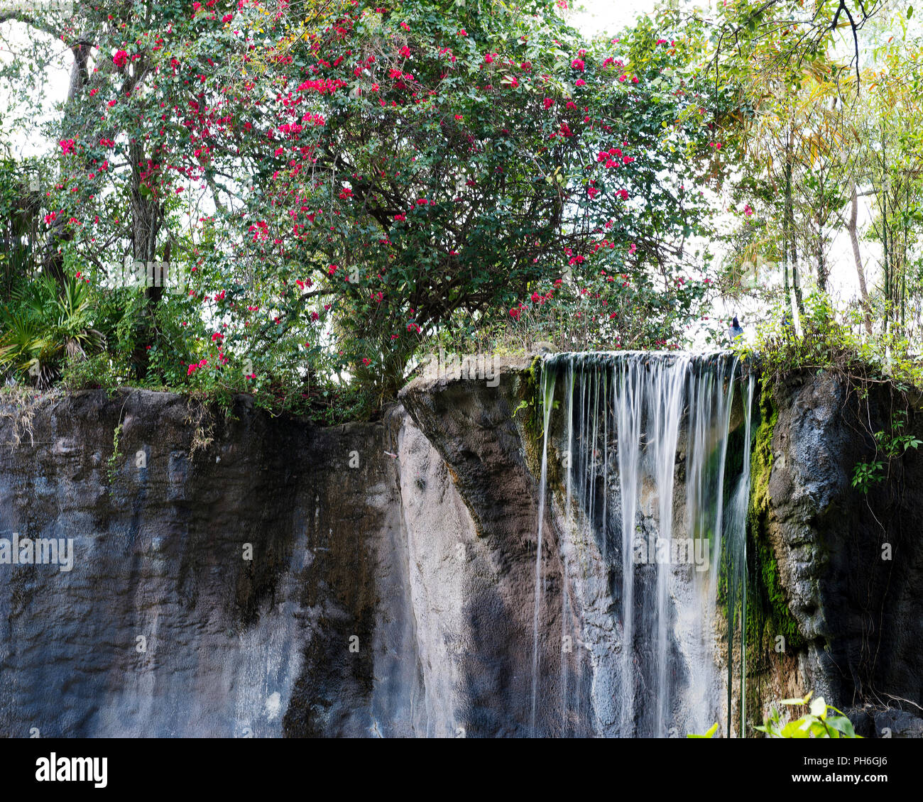 Landschaft aus Mutter Natur in ihrer ganzen Schönheit. Stockfoto