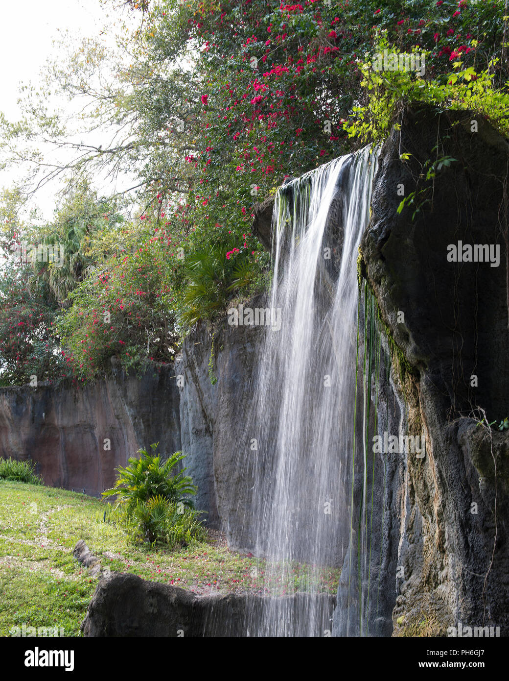 Landschaft aus Mutter Natur in ihrer ganzen Schönheit. Stockfoto