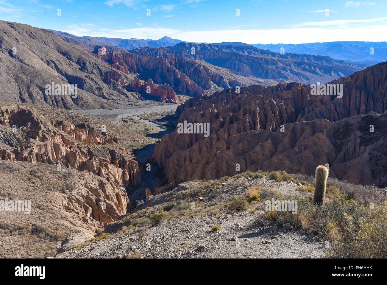 Felsformationen auf der El Sillar, Quebrada de Palala Tal in der Nähe von Tupiza, Bolivien, Südamerika Stockfoto