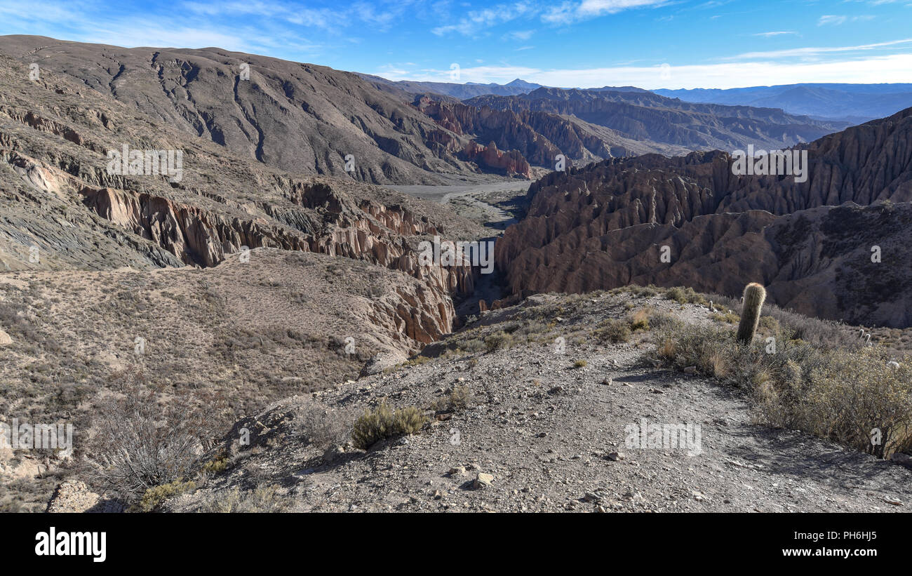 Felsformationen auf der El Sillar, Quebrada de Palala Tal in der Nähe von Tupiza, Bolivien, Südamerika Stockfoto