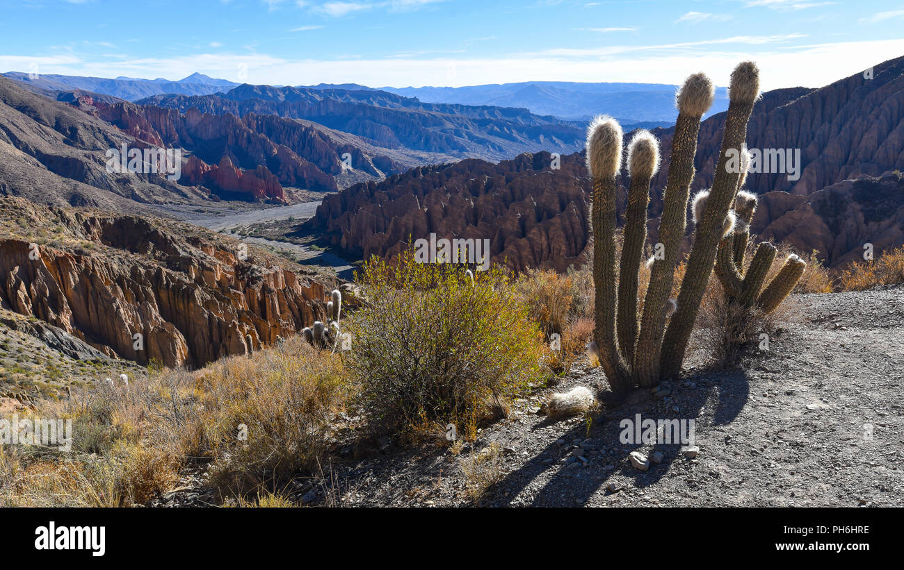 Felsformationen auf der El Sillar, Quebrada de Palala Tal in der Nähe von Tupiza, Bolivien, Südamerika Stockfoto